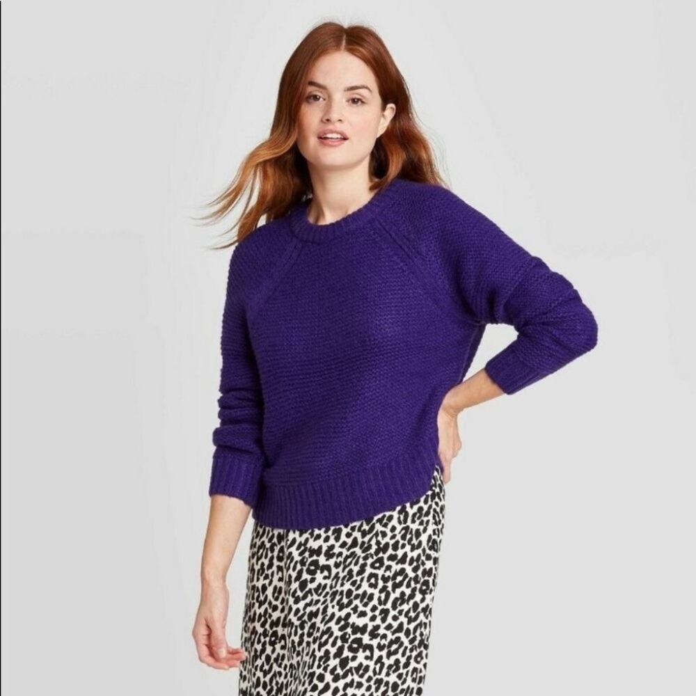 A New Day Sweater Size XS Women’s Purple Crewneck Pullover Long Sleeves NWT